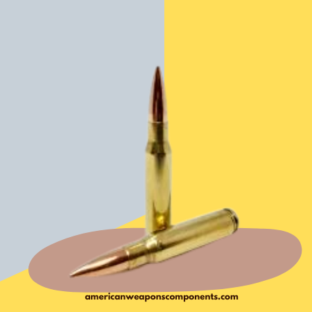 .308 Winchester