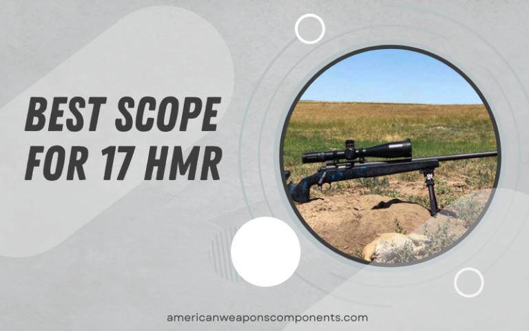Best Scope for 17 HMR