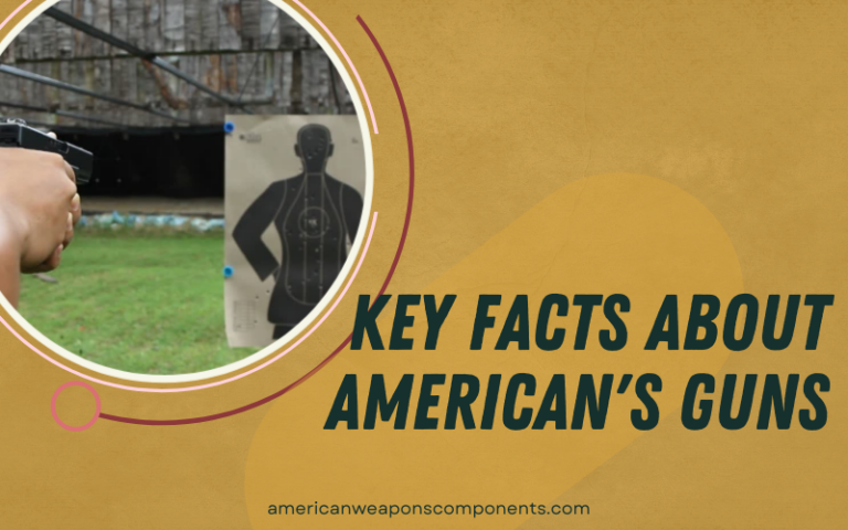 Key Facts About American's Guns